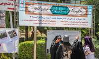 رویداد فرهنگی دیوار آزاد پاتوق گفتگو پیرامون پوشش عفیفانه در دانشگاه ایران برگزار شد