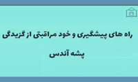 مراقبت در برابر گزش پشه ها: فیلم کوتاه آموزشی منتشر شد