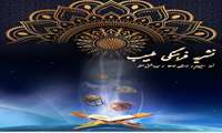 نشریه علمی- دانشجویی شماره ۱۳ / نشریه  علمی- دانشجویی طبیب - دانشگاه علوم پزشکی ایران